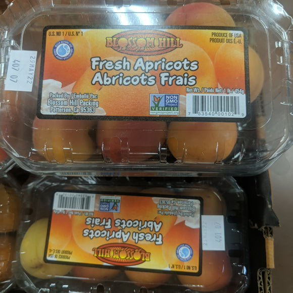 Trader Joe's Fresh Apricots