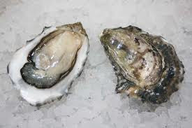 Fanny Bay Oysters (Fresh)