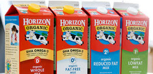 Horizon Organic Chocolate Milk