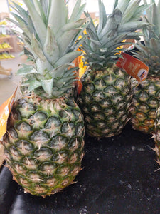 Trader Joe's Pineapples