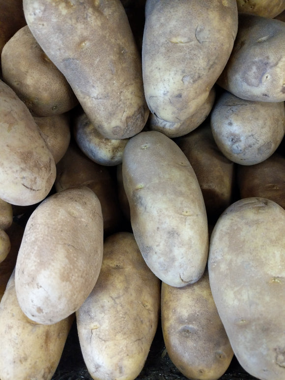 Trader Joe's Russet Potatoes