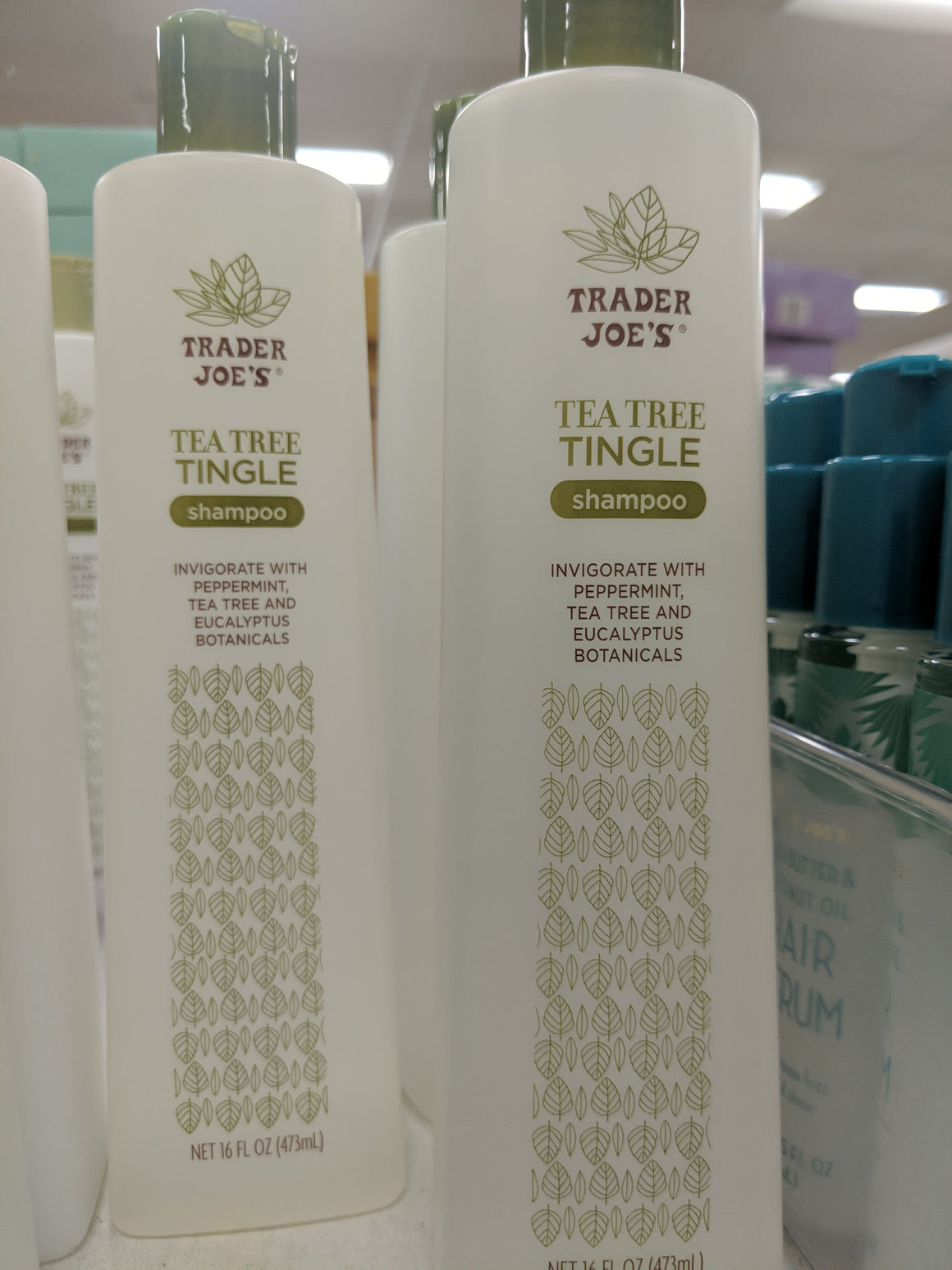 Trader Joe's Tea Tree Tingle Shampoo We'll Get The Food