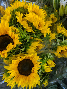 Trader Joe's Sunflowers