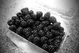 Trader Joe's Fresh Blackberries