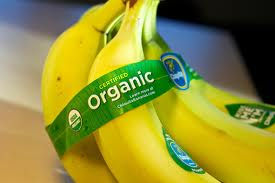 Trader Joe's Organic Bananas